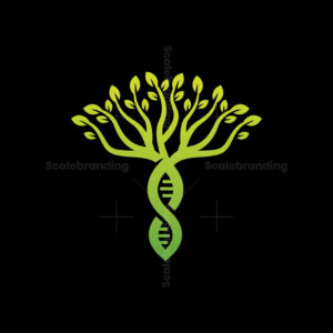 Longevity & Cellular Repair Research Peptides