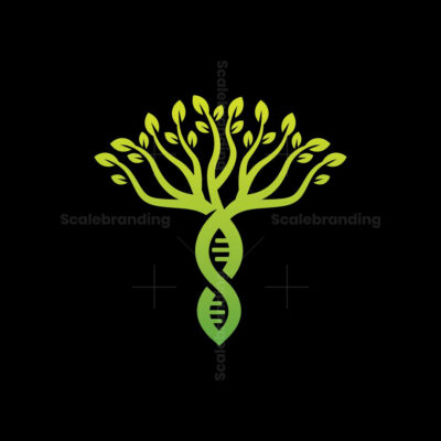 Longevity & Cellular Repair Research Peptides